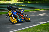 cadwell-no-limits-trackday;cadwell-park;cadwell-park-photographs;cadwell-trackday-photographs;enduro-digital-images;event-digital-images;eventdigitalimages;no-limits-trackdays;peter-wileman-photography;racing-digital-images;trackday-digital-images;trackday-photos